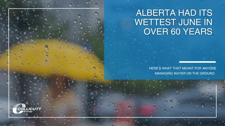 Alberta Had Its Wettest June in Over 60 Years